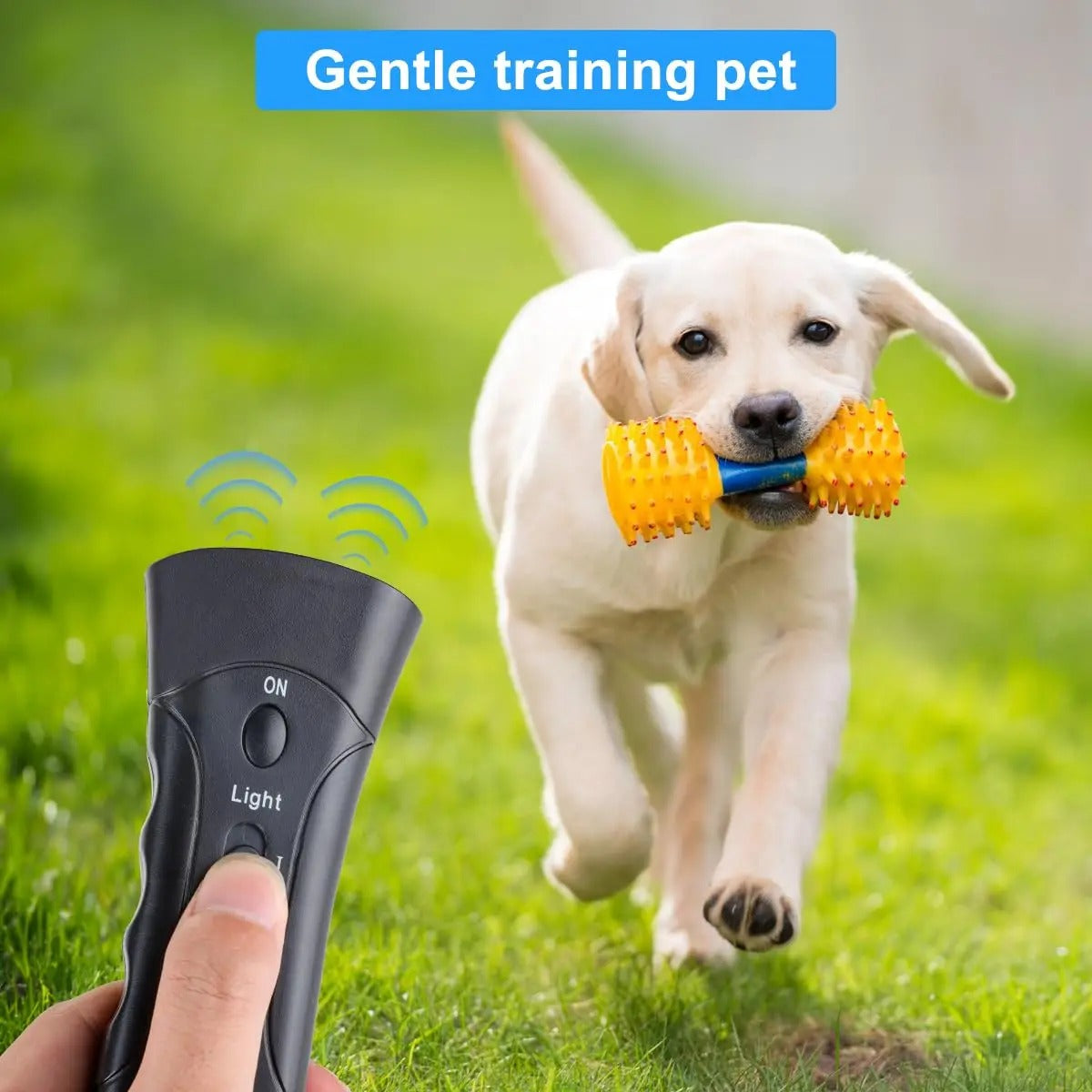 QuietBeam™ Ultrasonic Dog Training Device